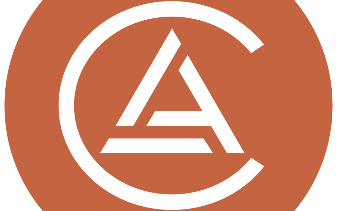 What Conditions Do Chiropractors Treat? A Comprehensive Guide