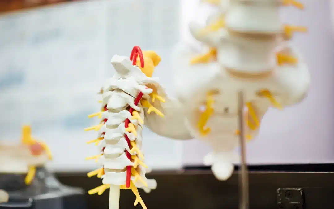 What Techniques Does a Chiropractor Use?