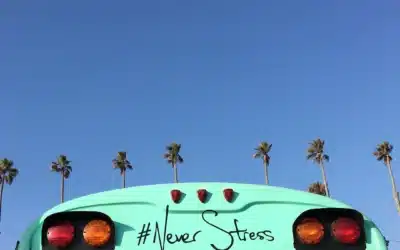 Chiropractic and Stress Management: A Natural Approach to a Calmer Life