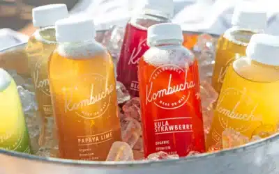 Boosting Health Naturally: Vitamin B12 and Kombucha