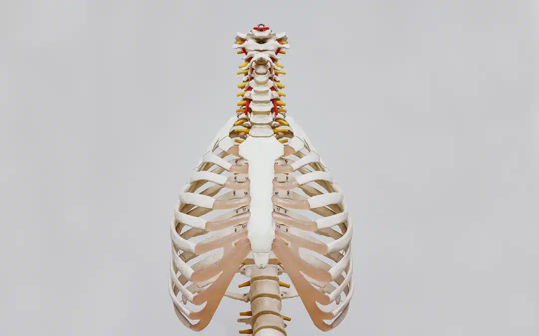 Why Consistent Chiropractic Care Is the Key to Long-Term Health