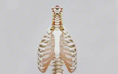 Why Consistent Chiropractic Care Is the Key to Long-Term Health