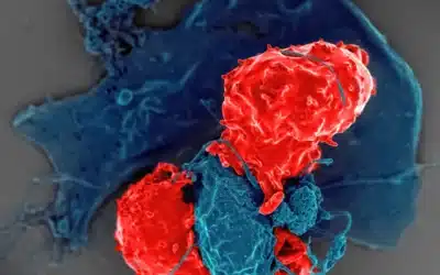 Boosting Your Immune System with Chiropractic Adjustments: The Science Behind It