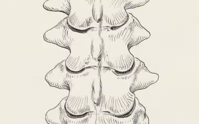 Chiropractic Myths Debunked: What You Need to Know About Spinal Health