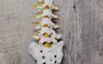 What New Technologies and Diagnostic Tools Are Being Used in Modern Chiropractic?